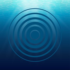 Submerge Recordings