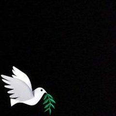 ھاشم عمران واھلہ