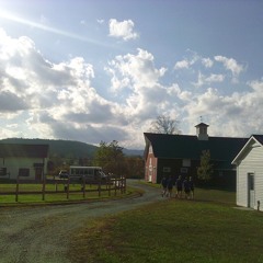 Loos x Fake ID (A-TUT Mashup)