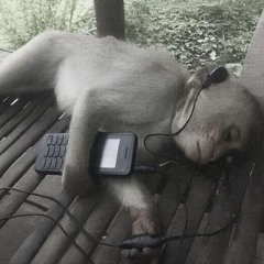 syre_died_at_sunset🦇