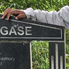 gase