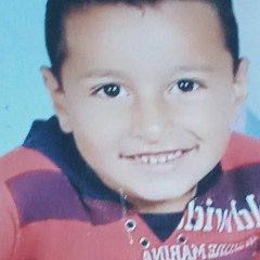 مصطفى شعلان