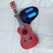 UkulelePerson