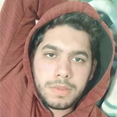 Muhammed Eltanahy