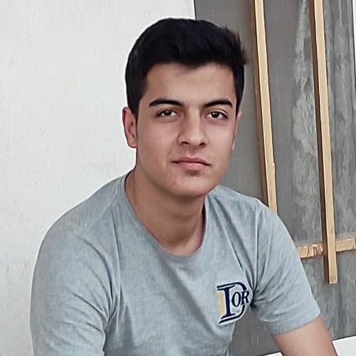 Shahrestani_i’s avatar
