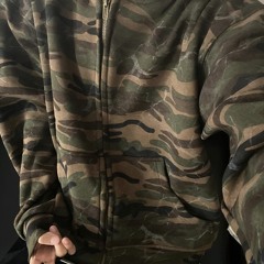 MSC kz