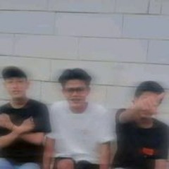 Dallbo