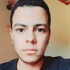 مصطفى علي