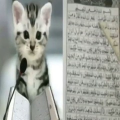 smklqra