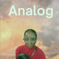 Analog Dream 95