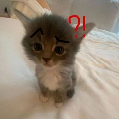 Squee