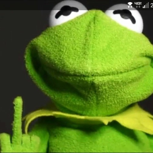 Kermit’s avatar