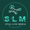 Still-Live Media