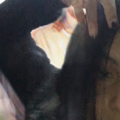 feña 🧝🏽‍♀️