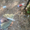 woodzgoneblow