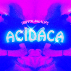Acidaca Archive