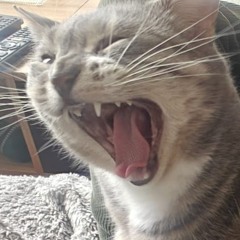 Jean Citron