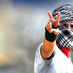 Mohamed Lotfi Al-Shami
