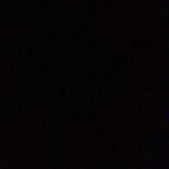 שילת טרבלסי