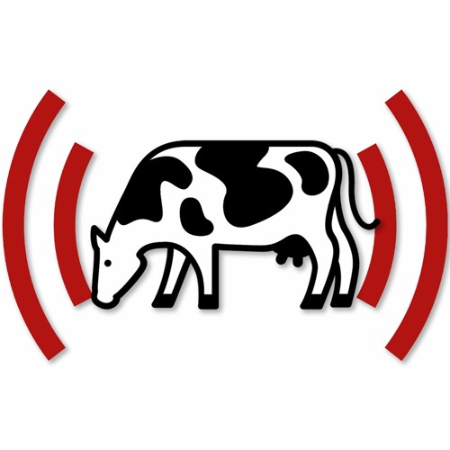 E7: Trouble Shooting Herd Health Issues on Your Dairy-Transition Cow Issues