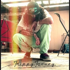 TrippyToovey