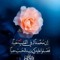 Om Mohammed