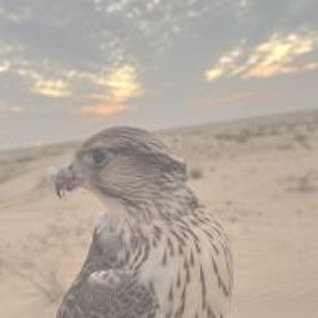 Stream ضوء نار محد يطفيها عوو خوف كلمن فيها by Rawdhaabdullaalali🇦🇪 ...