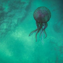 challenger deep