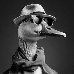 Quantum Goose Anomaly