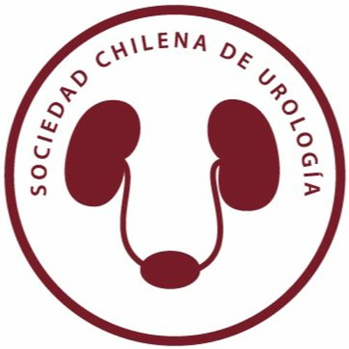 Sociedad Chilena de Urología’s avatar