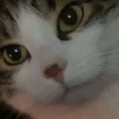 Mia🫶✨
