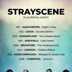 Stray Scene Official