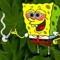 Trichome