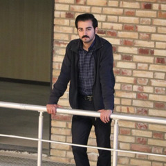 ali farzamian