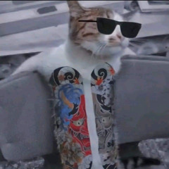 TranHoangThaiDuongVu