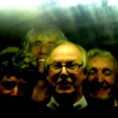 The Howdy - Doody Twits