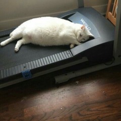Treadmill girl