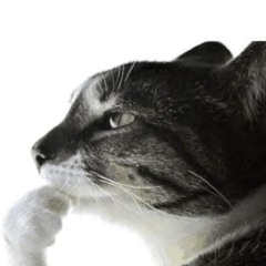 diepngx