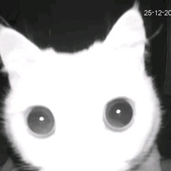 😺