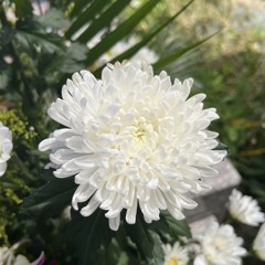 ジョン・ペンバートン