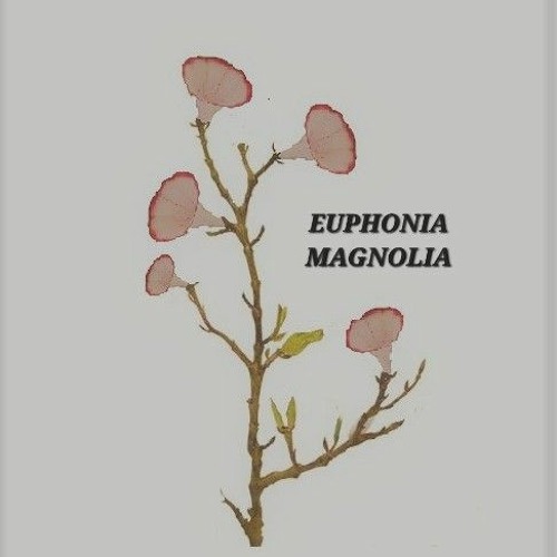 Euphonia Magnolia’s avatar