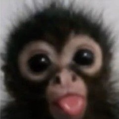 coconut 🇲🇽💌🥊