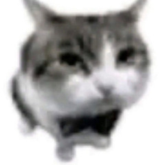 Niko