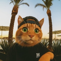 n0$lp