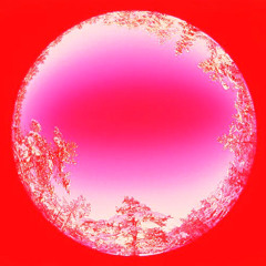 IVY RED