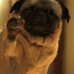 fire frost studying 2