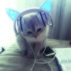 αѕнωєє ⦮ ⦯