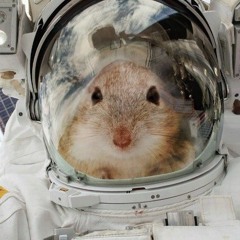 솔이