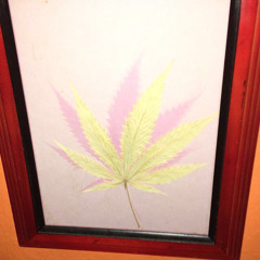 ..@L3X..