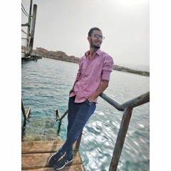 Assem Hesham
